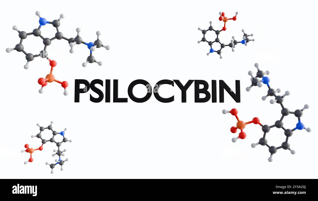 3D-Darstellung des Wortes "PSILOCYBIN" und mit der molekularen Struktur der Verbindung, zur Darstellung der chemischen Zusammensetzung des psychedelischen Substs Stockfoto