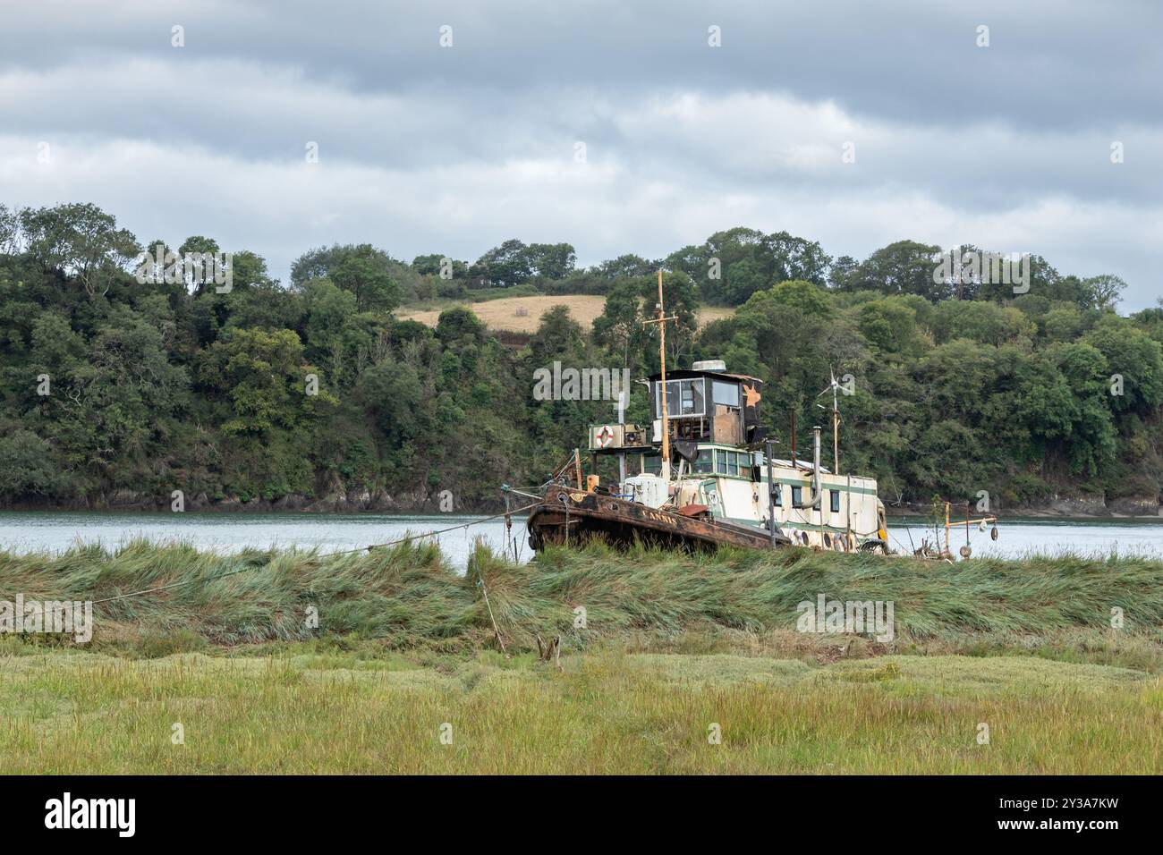 Cannis, ein Thames Tug-Boot, das früher von London & Rochester Trading Co verfiel und auf dem River Torridge verfiel Stockfoto