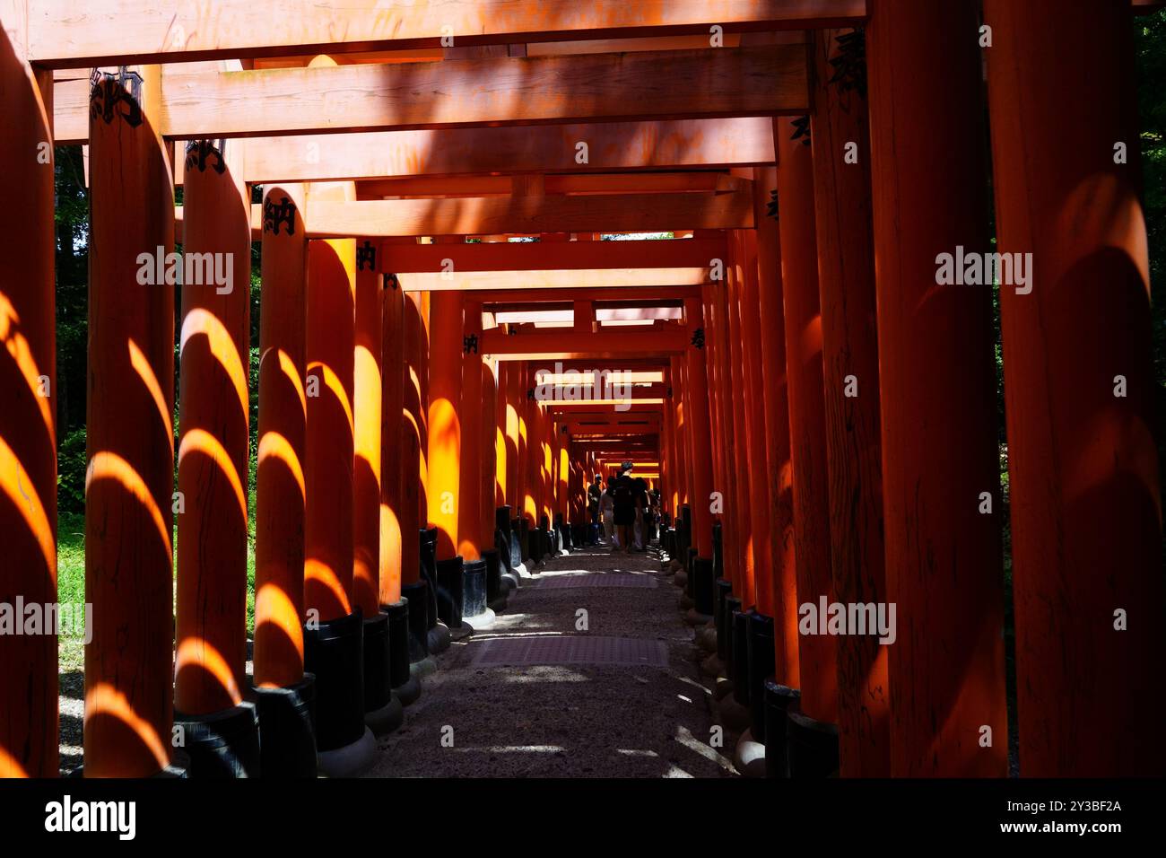 Fushimi Inari-taisha (japanisch 伏見稲荷大社) ist der Hauptschrein des Kami Inari in Fushimi-ku Stockfoto