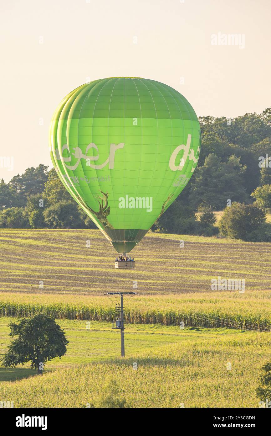 Ein grüner Heißluftballon schwimmt an einem Sommertag über einem Feld in der Nähe eines Waldes, Calw, Schwarzwald, Deutschland, Europa Stockfoto