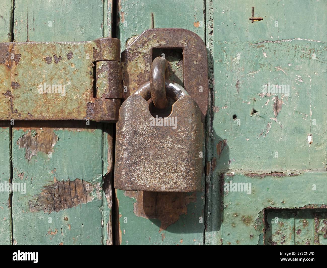 Nahaufnahme eines alten, rostigen Metallvorhängeschlosses, das eine Eisenstange an einer grünen Holztür befestigt Stockfoto