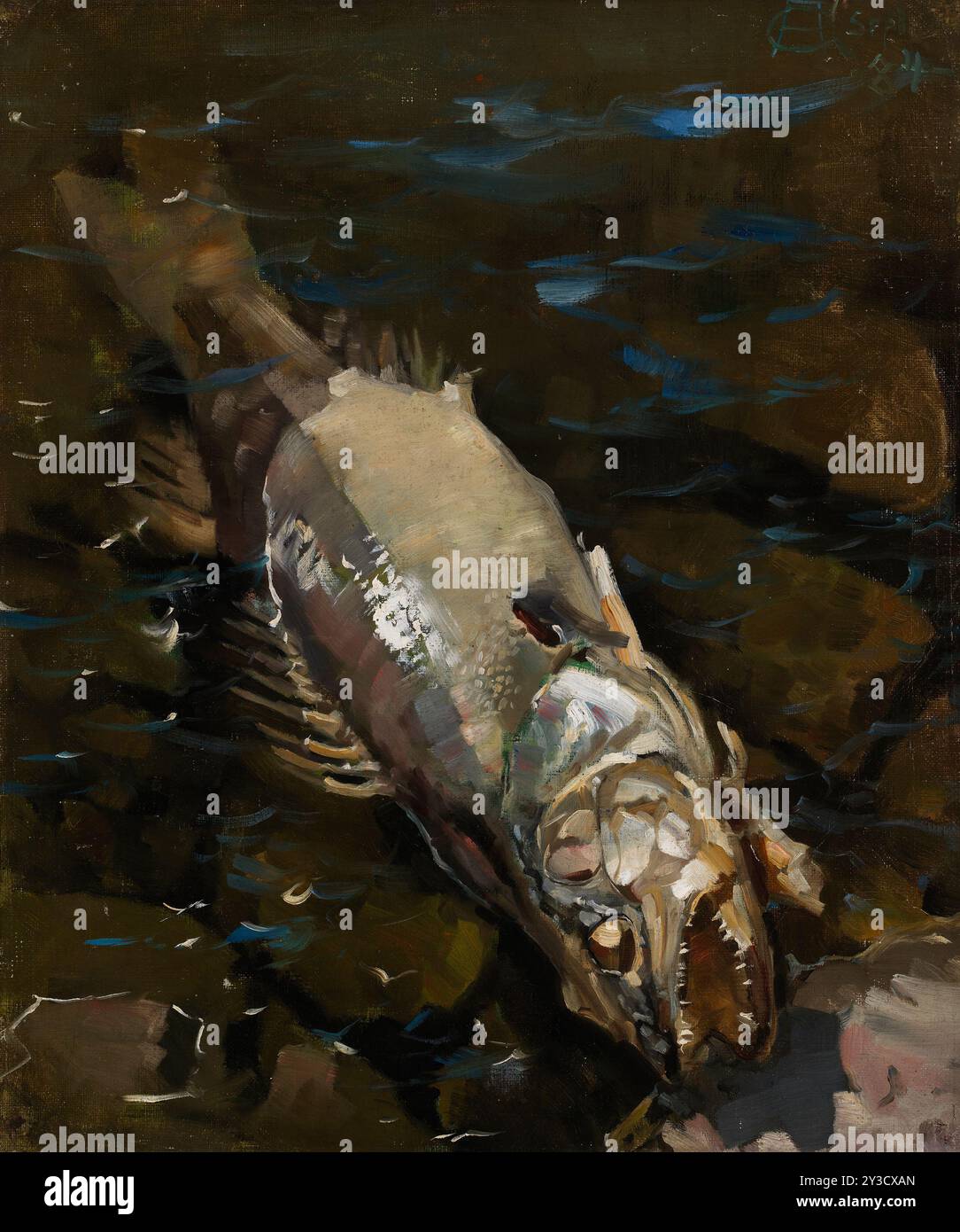 Zerfallender Sander, 1884. Stockfoto