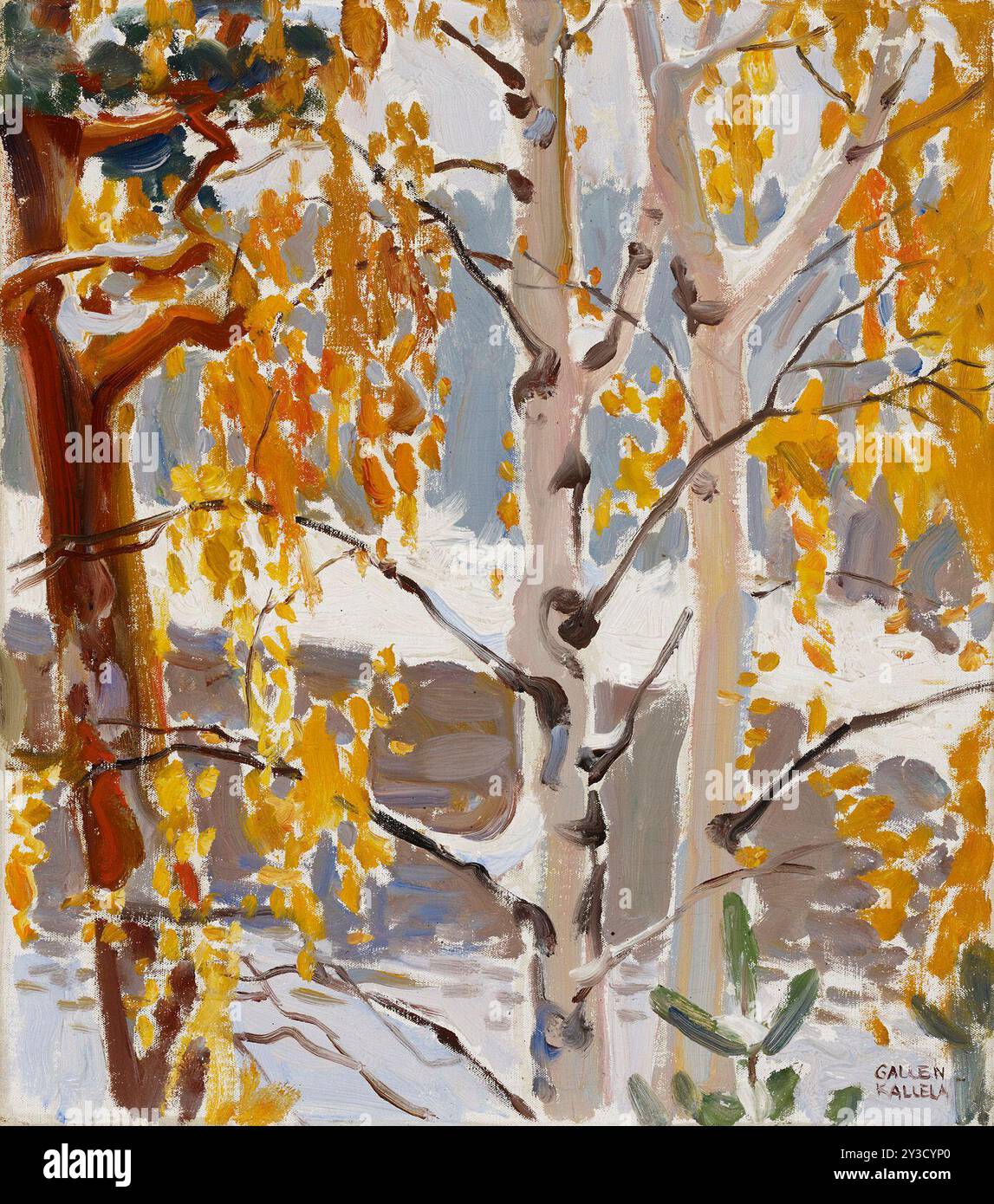 Erster Schnee, 1890-1915. Stockfoto