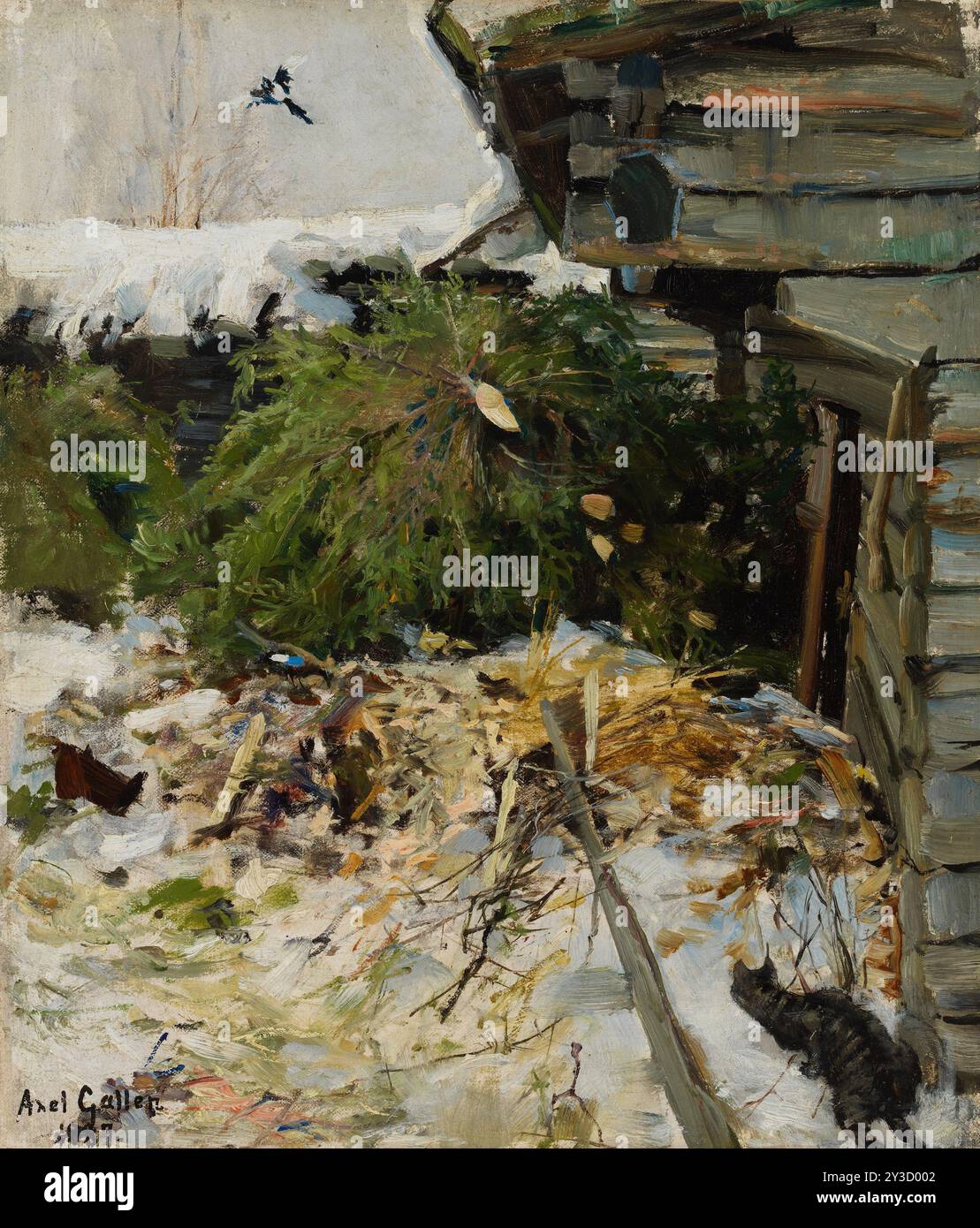 Fichten auf einem Bauernhof, 1887. Stockfoto