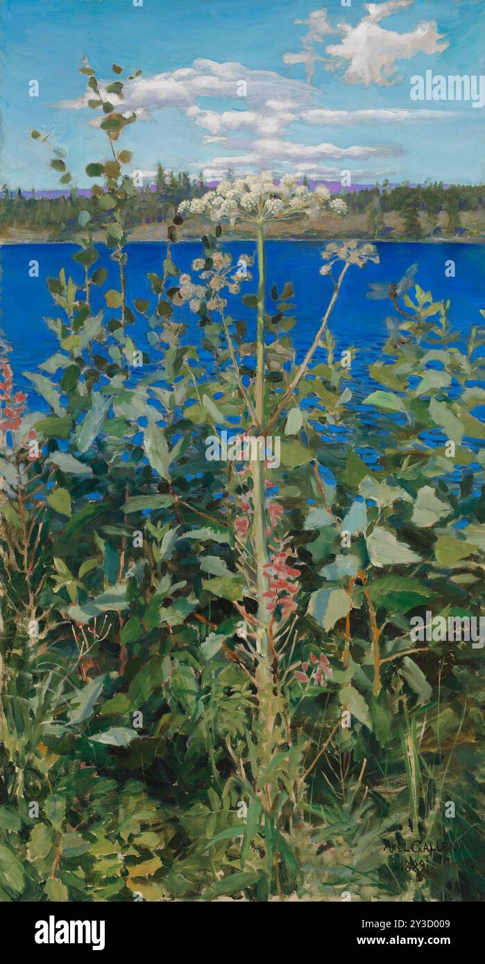 Wild Angelica, 1889. Stockfoto