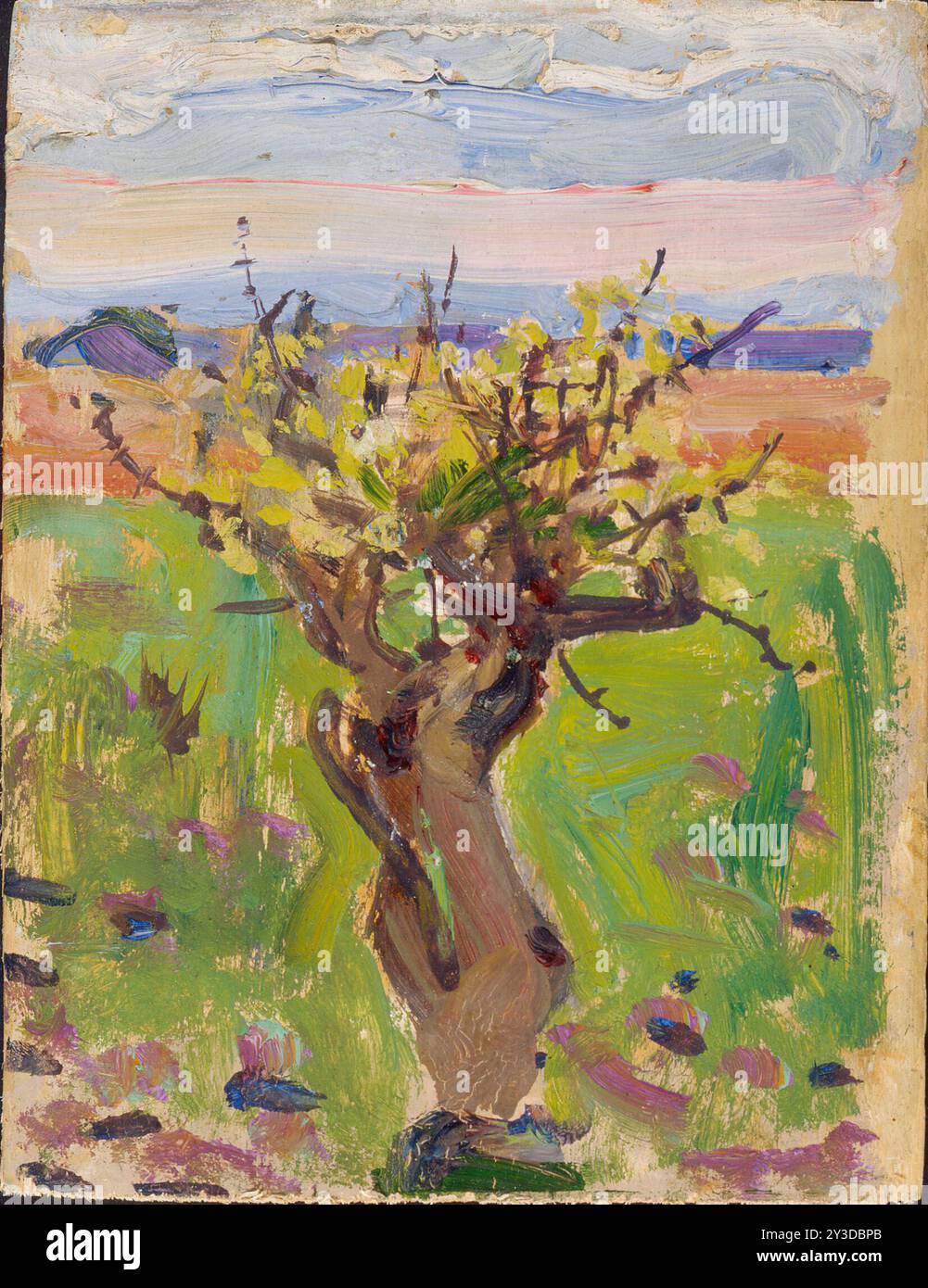 Dwarf Tree in the Desert, 1909-1910. Stockfoto