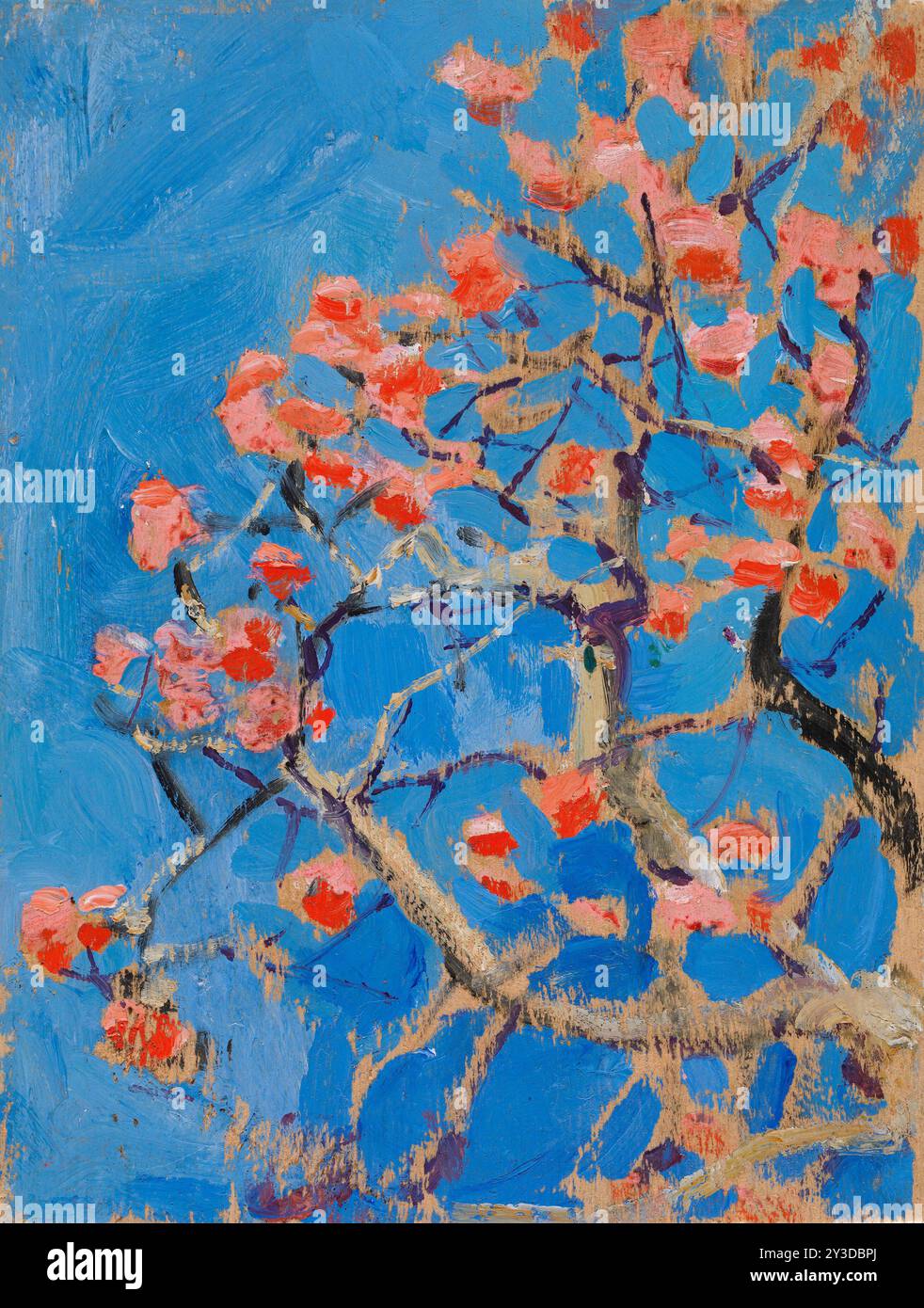 Coral Tree in Blossom, 1909-1910. Stockfoto