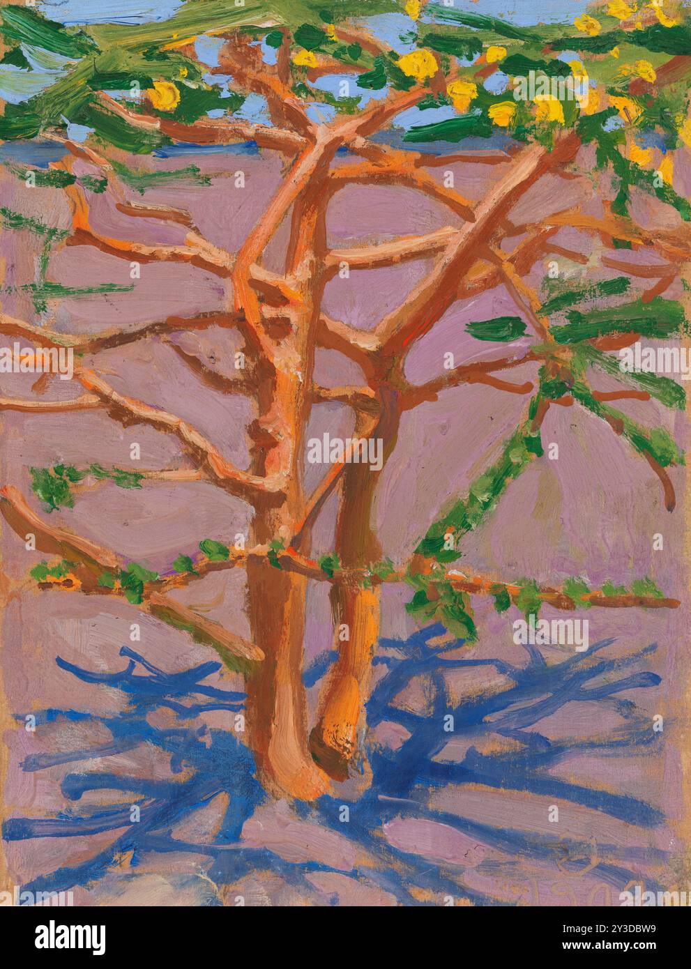 Akazie auf der Savanne, 1909. Stockfoto