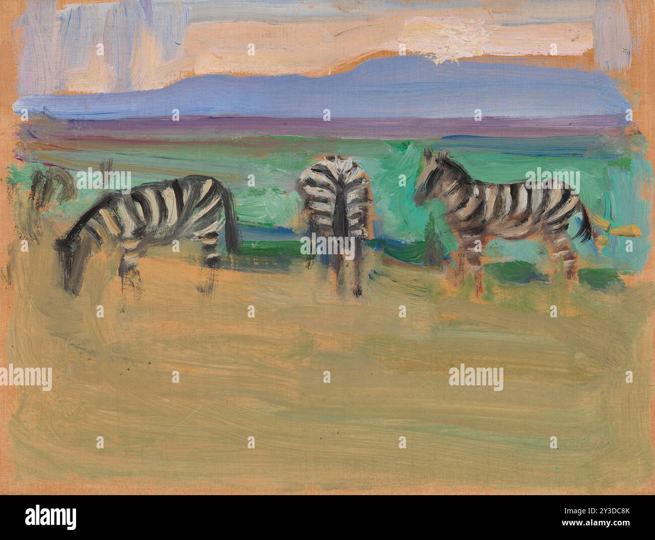 Zebras, 1909. Stockfoto