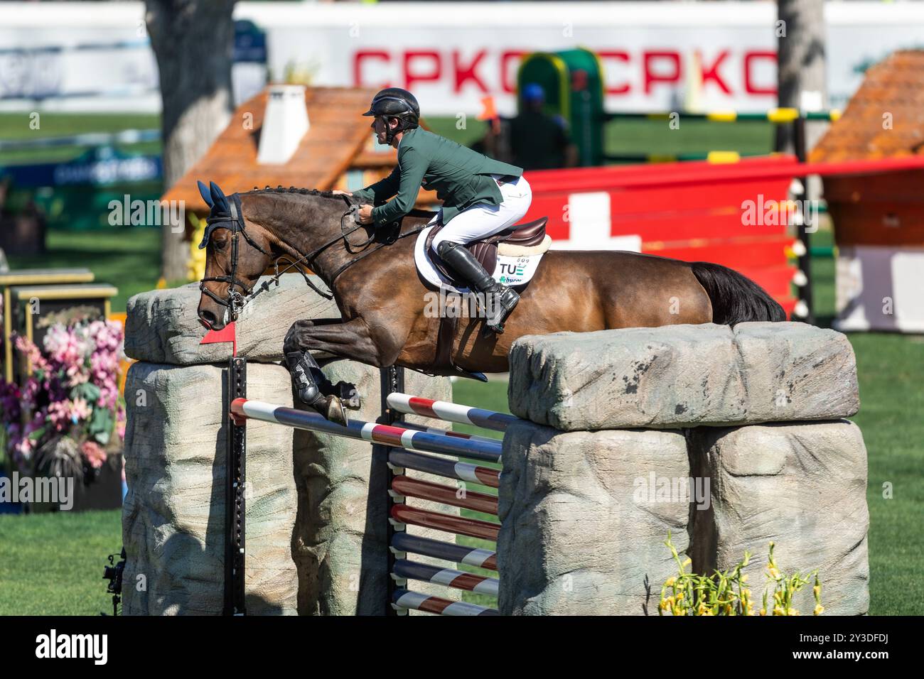 Calgary, Kanada - 7. September 2024. Michael Pender aus Irland, Reiten HHS Calais, tritt beim BMO Nations Cup während des CSIO Spruce Meadows - Master an Stockfoto