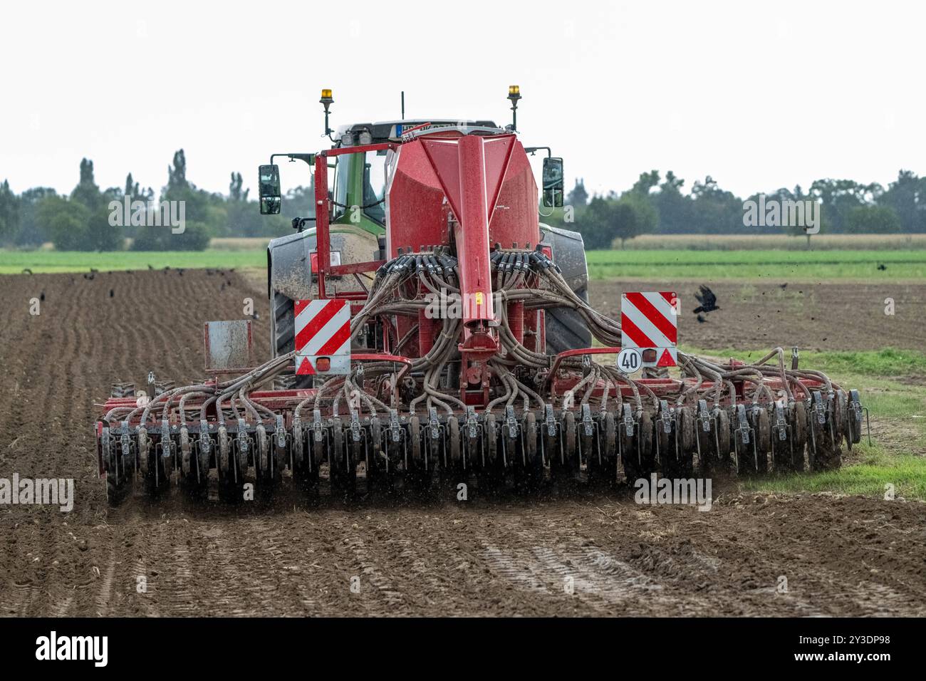 Traktor mit landwirtschaftlicher Maschine bei der Bodenbearbeitung , Deutschland, Rheinland-Pfalz, Otterstadt, 13.09.2024, ein Traktor zieht eine große landwirtschaftliche Maschine über ein Feld, um den Boden zu bearbeiten. Im Hintergrund sind Vögel und eine ländliche Landschaft zu sehen. *** Traktor mit Landmaschine, die den Boden bewirtschaftet, Deutschland, Rheinland-Pfalz, Otterstadt, 13 09 2024, ein Traktor zieht eine große landwirtschaftliche Maschine über ein Feld, um die Bodenvögel zu bearbeiten, und im Hintergrund ist eine ländliche Landschaft zu sehen Stockfoto