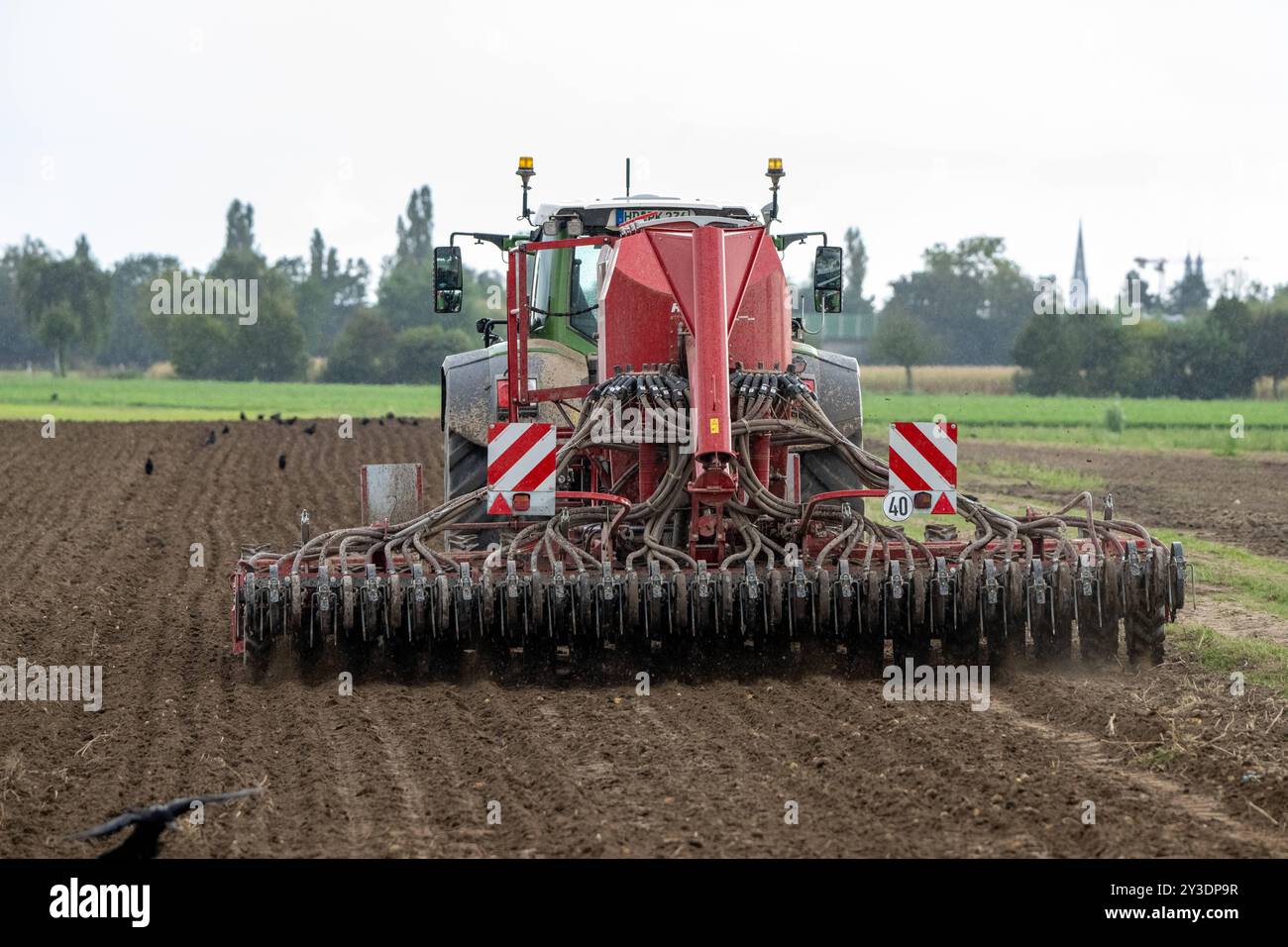 Traktor mit landwirtschaftlicher Maschine bei der Bodenbearbeitung , Deutschland, Rheinland-Pfalz, Otterstadt, 13.09.2024, ein Traktor zieht eine große landwirtschaftliche Maschine über ein Feld, um den Boden zu bearbeiten. Im Hintergrund sind Vögel und eine ländliche Landschaft zu sehen. *** Traktor mit Landmaschine, die den Boden bewirtschaftet, Deutschland, Rheinland-Pfalz, Otterstadt, 13 09 2024, ein Traktor zieht eine große landwirtschaftliche Maschine über ein Feld, um die Bodenvögel zu bearbeiten, und im Hintergrund ist eine ländliche Landschaft zu sehen Stockfoto