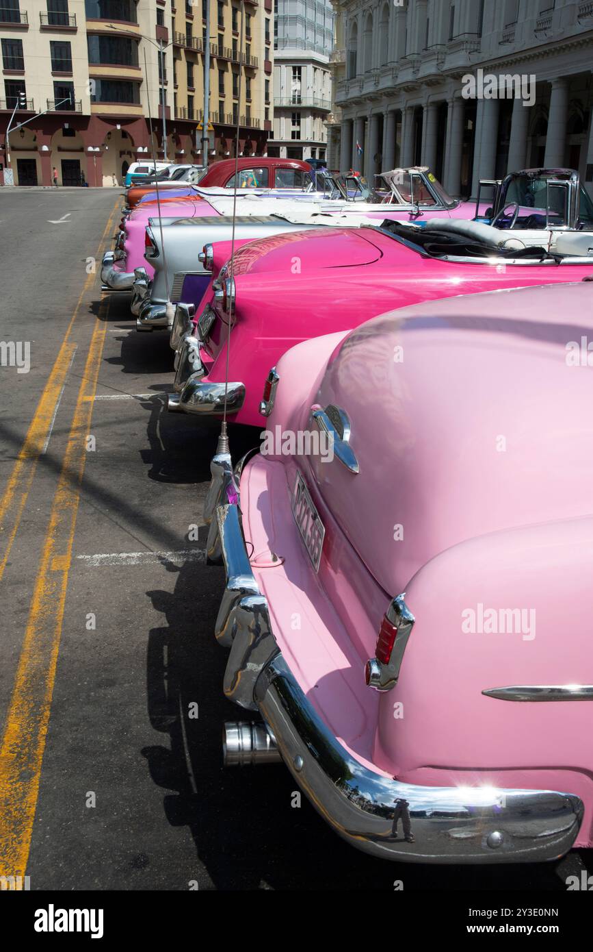 Eine Auswahl an wunderschön restaurierten alten amerikanischen Autos: Chevrolets, Cadillacs, Plymouths und andere, jetzt Taxis, neben dem Parque Central, Havanna, Kuba, 2024. Stockfoto