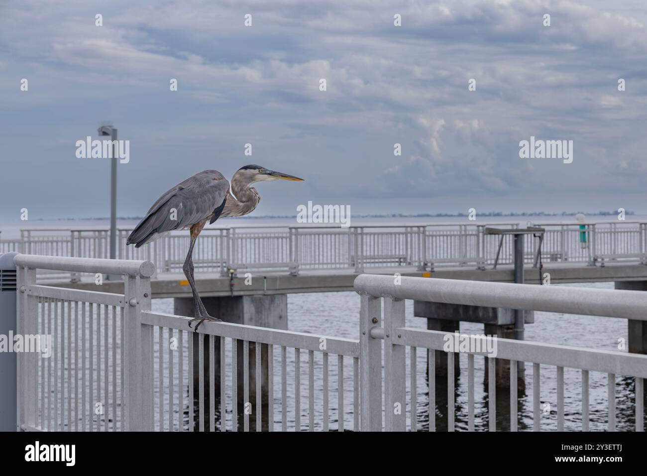 Kran am Angelpier im Fort de Soto Park Pinellas County Florida, USA September 2024. Der Hintergrund ist eine Stadtlandschaft mit Sturmwolken Stockfoto