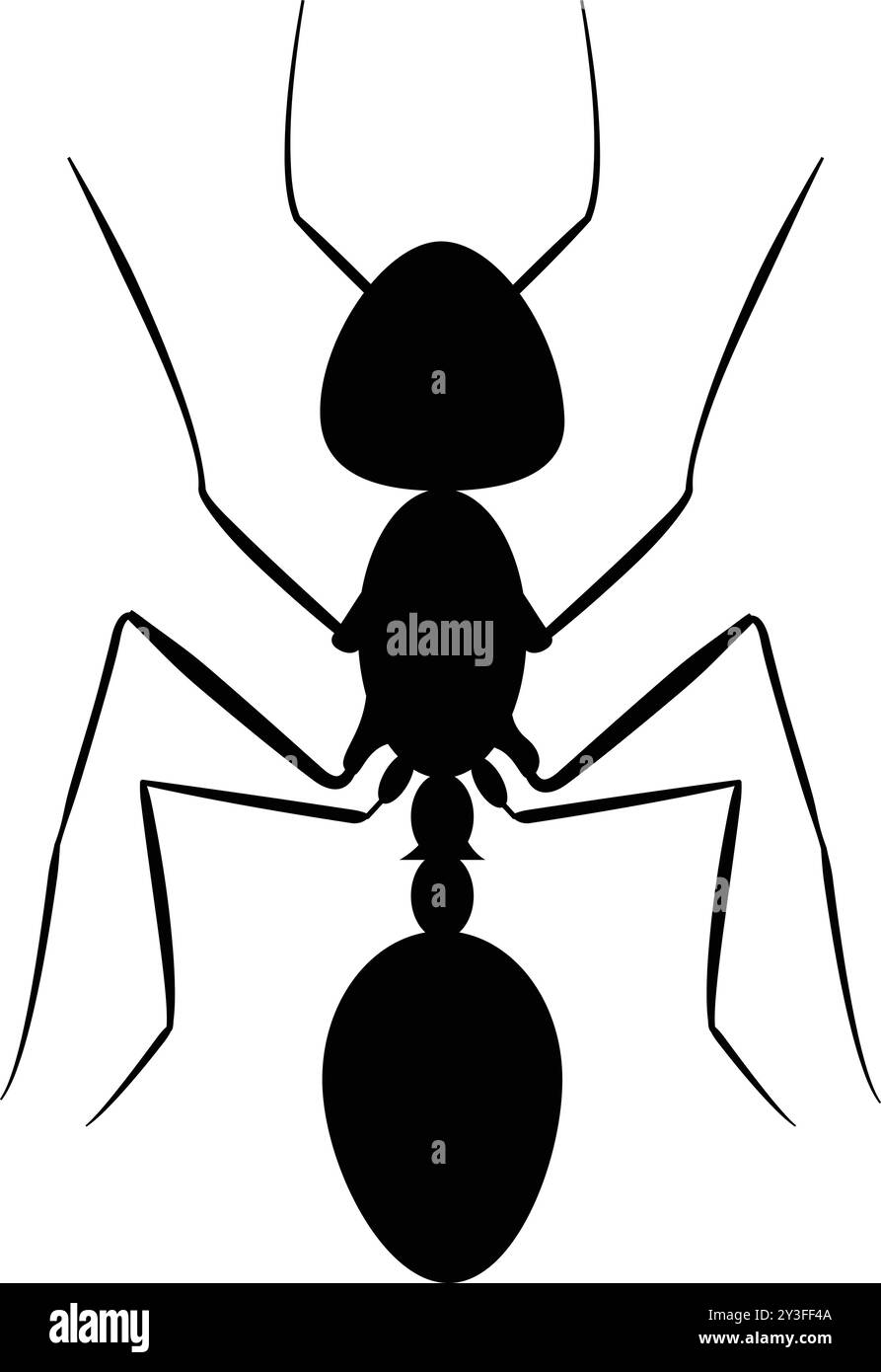 Ameisensymbolvektor, Ant-Illustration, Ant-Silhouette Stock Vektor