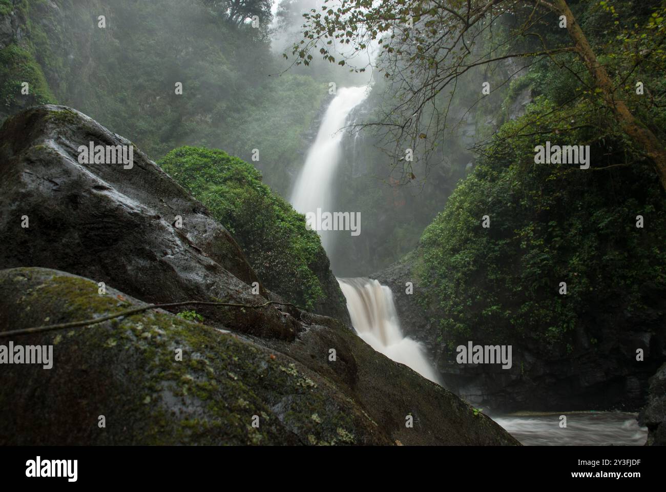 Wasserfall im Wald von Monterrey, Mexiko. Stockfoto