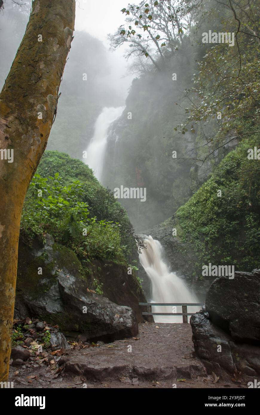 Wasserfall im Wald von Monterrey, Mexiko. Stockfoto