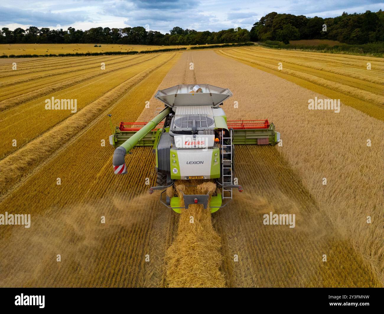 Rosyth, Schottland, Großbritannien. September 2024. Luftaufnahmen eines Mähdreschers, der auf dem Feld in der Nähe von Rosyth in Fife arbeitet. Sie hat es den Landwirten ermöglicht, ihre Ernte nach einem schlechten Sommer zu ernten. Iain Masterton/Alamy Live News Stockfoto