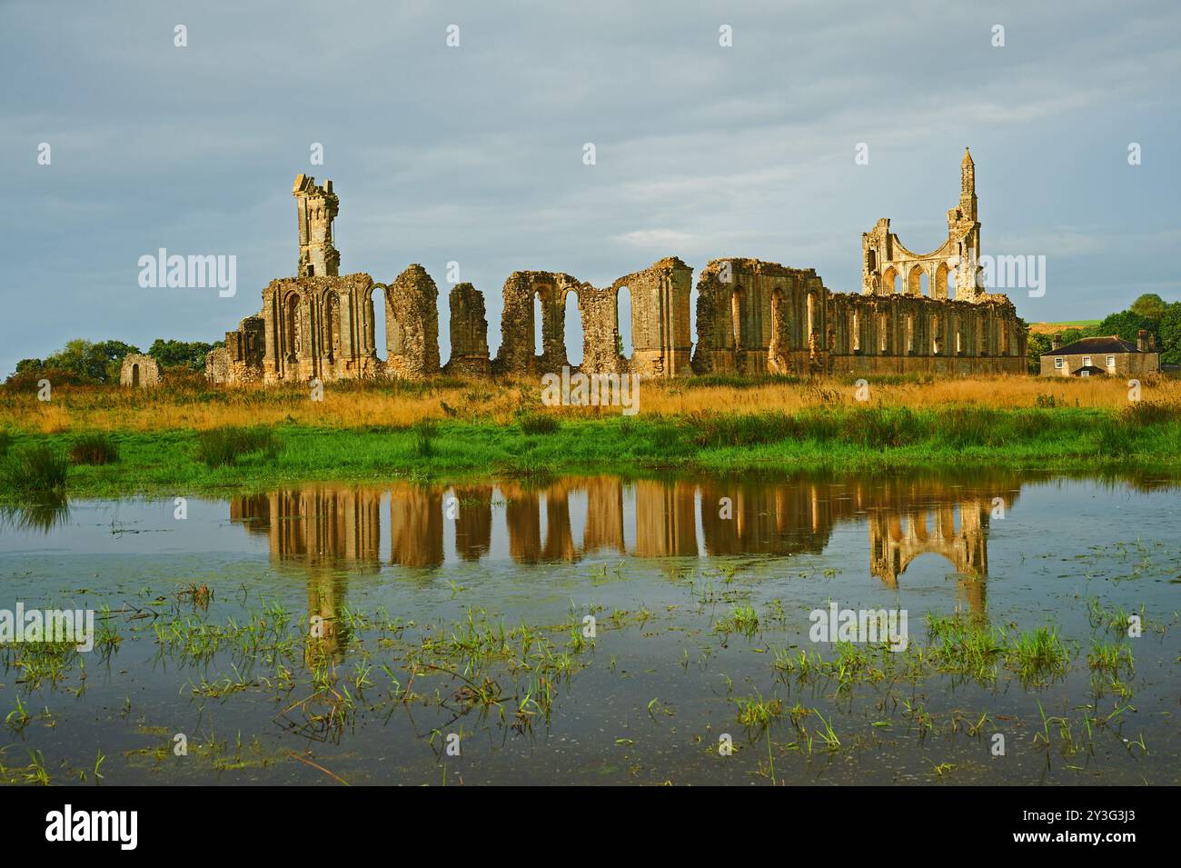 Byland Abbey in North Yorkshire. Die Ruinen der Abtei spiegeln sich in den wasserdurchnässten Feldern wieder Stockfoto