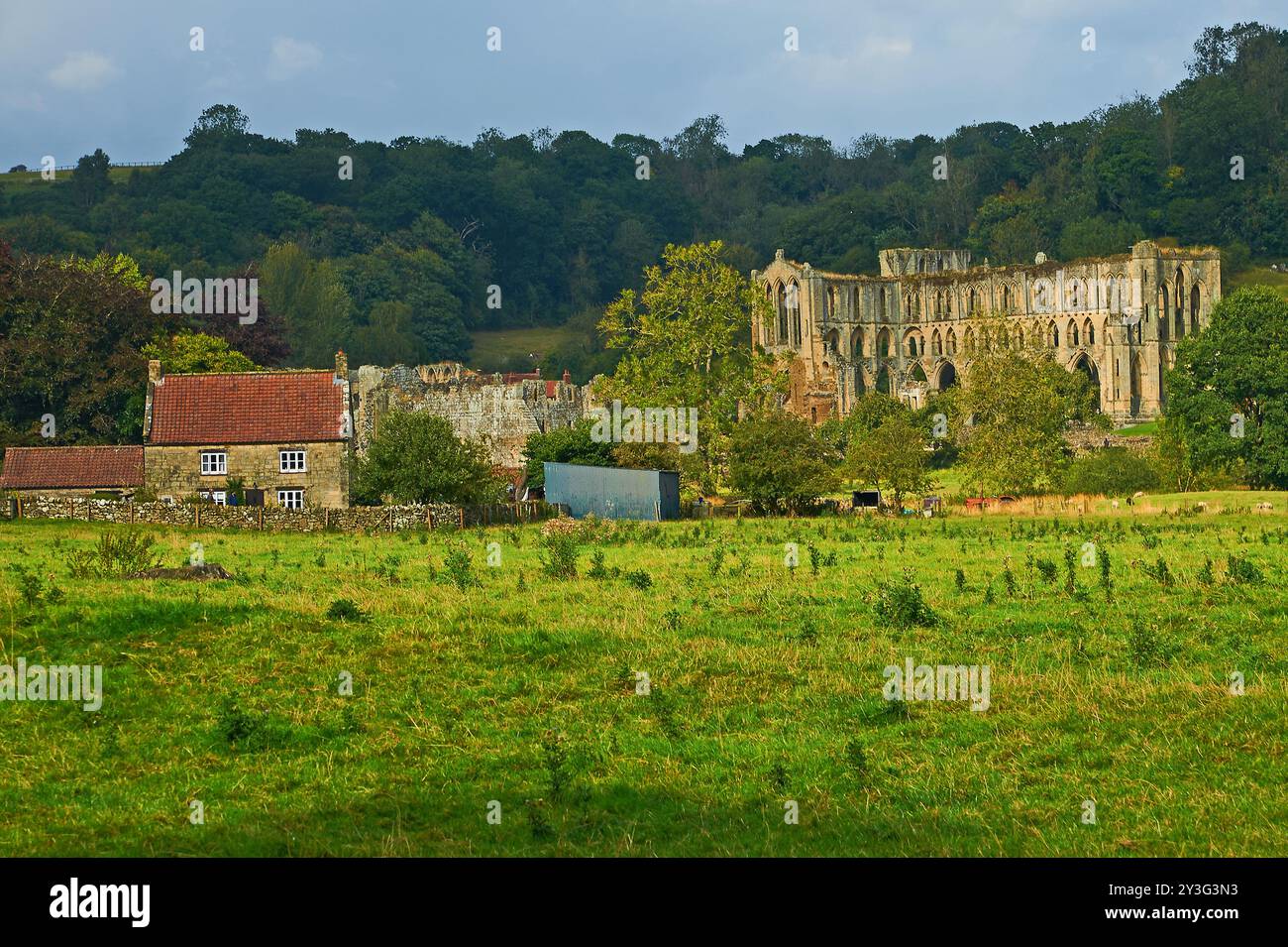 Rievaulx Abbey in der Nähe von Helmsley in North Yorkshire Stockfoto