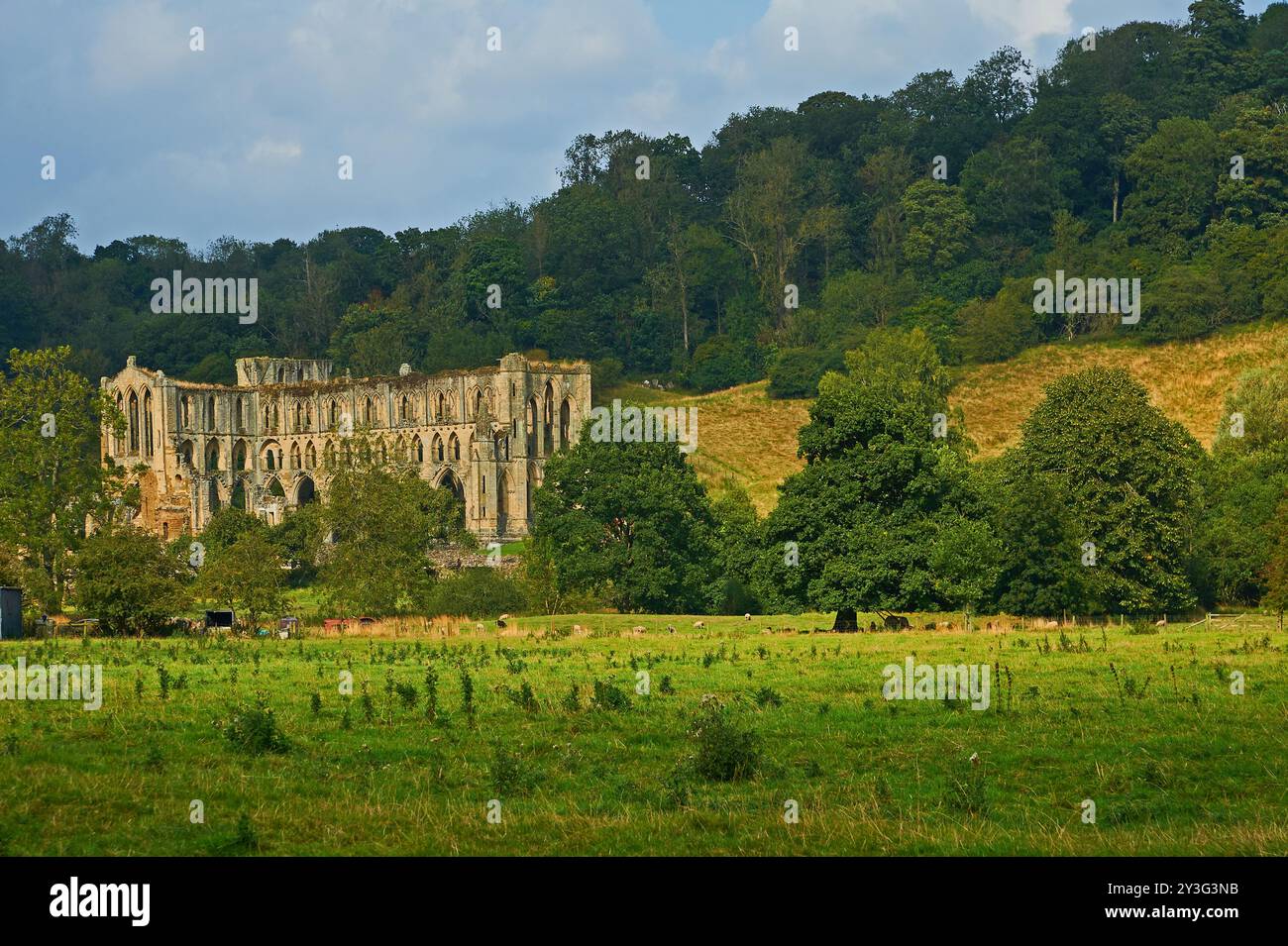 Rievaulx Abbey in der Nähe von Helmsley in North Yorkshire Stockfoto