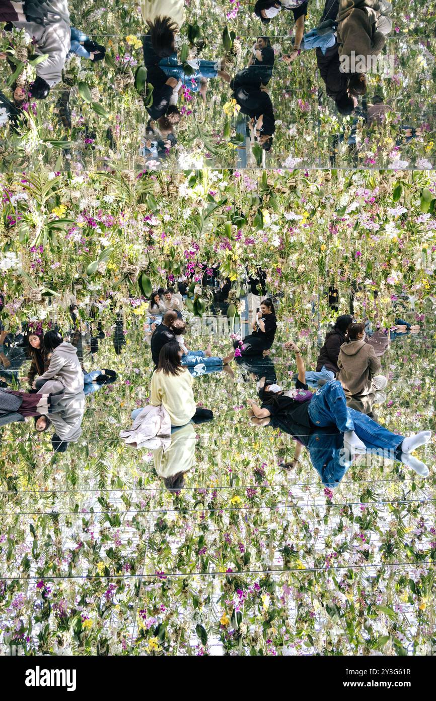 Tokio, Japan 2023 Stockfoto