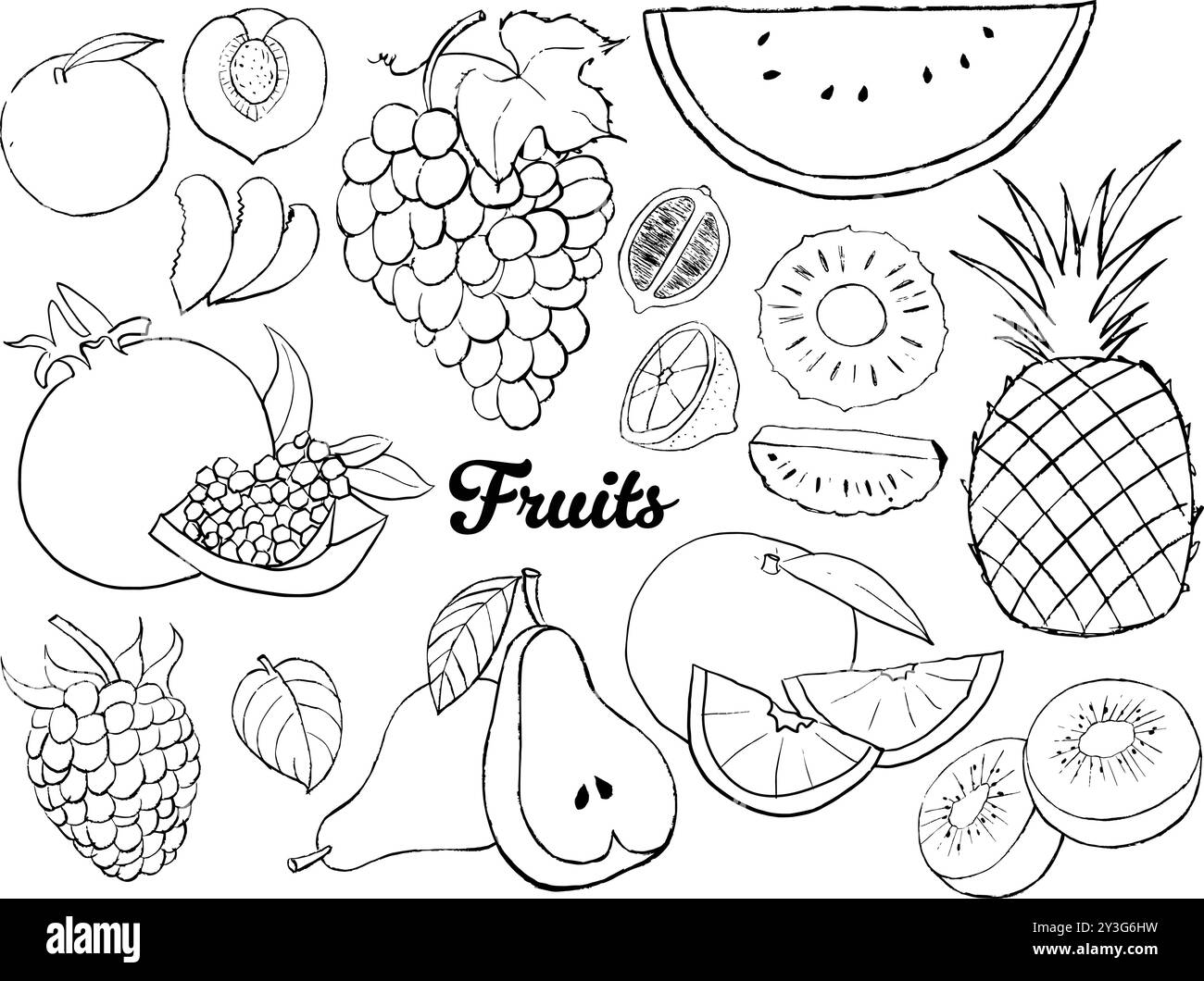 Set von Früchten, Gemüse, Brot, Fleisch und Fast Food-Kritzeleien, handgezeichnete Illustration von Obst, Gemüse, Fleisch und Fast Food Stock Vektor