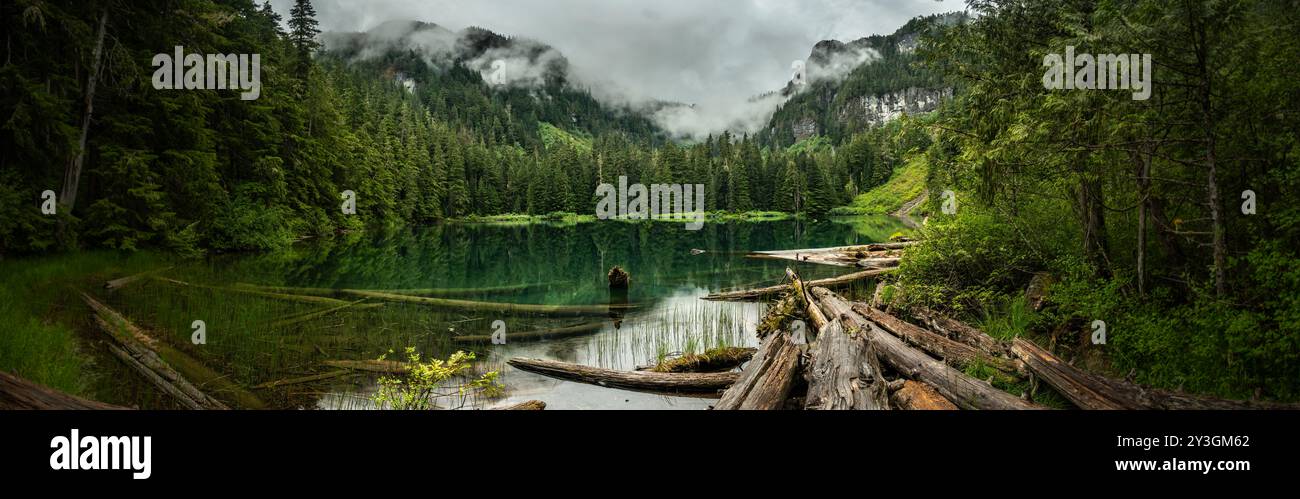 Panorama Des Brillanten Green Lake Im Mount Rainier National Park Stockfoto