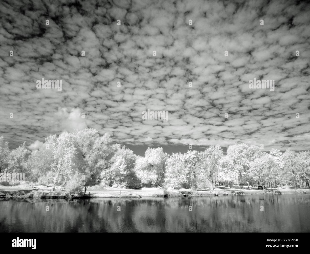 Infrarotansicht auf den Fluss mit Bäumen am Fern-Ufer, Loire-Tal, Frankreich Stockfoto