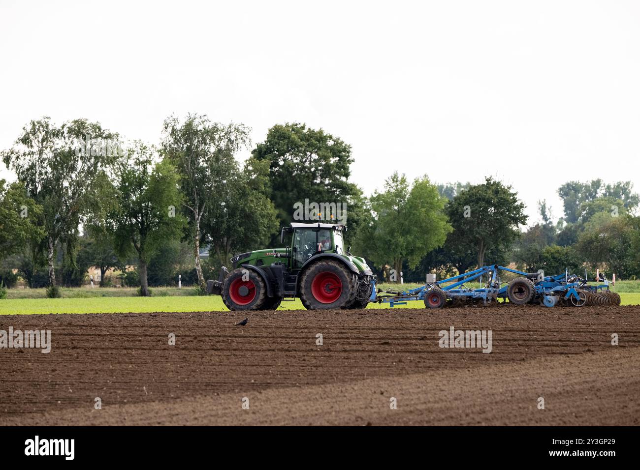 Deutschland, Rheinland-Pfalz, 13.09.2024. Ein Traktor zieht eine große landwirtschaftliche Maschine über ein Feld, um den Boden zu bearbeiten. Stockfoto