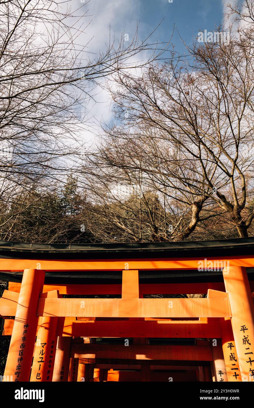 Fushimi Inari-Schrein | Kyoto, Japan 2023 Stockfoto