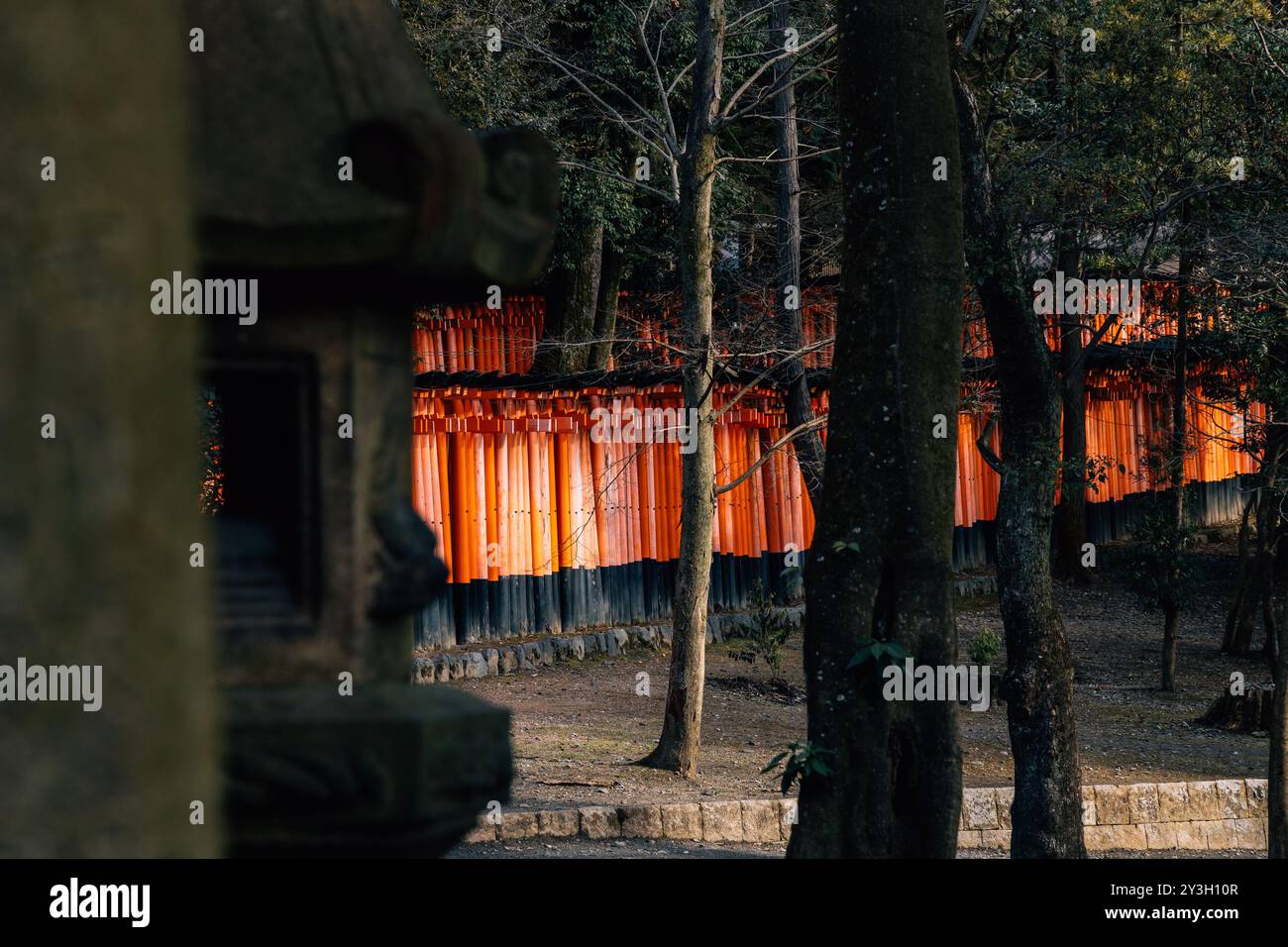 Fushimi Inari-Schrein | Kyoto, Japan 2023 Stockfoto
