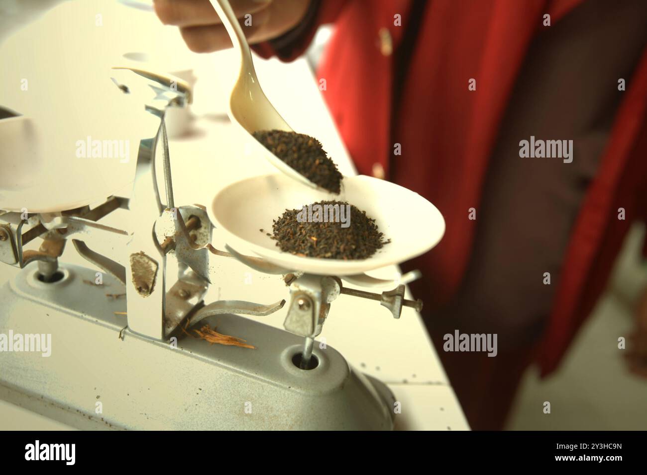 Ein Arbeiter, der in der Kayu Aro Teefabrik im Dorf Kersik Tuo, Kayu Aro, Kerinci, Jambi, Indonesien, Teepulver zur Qualitätskontrolle gießt. Stockfoto