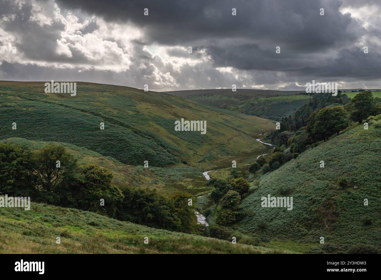 Frösternder Himmel über dem Moorland von Exmoor und dem Fluss Barle Stockfoto