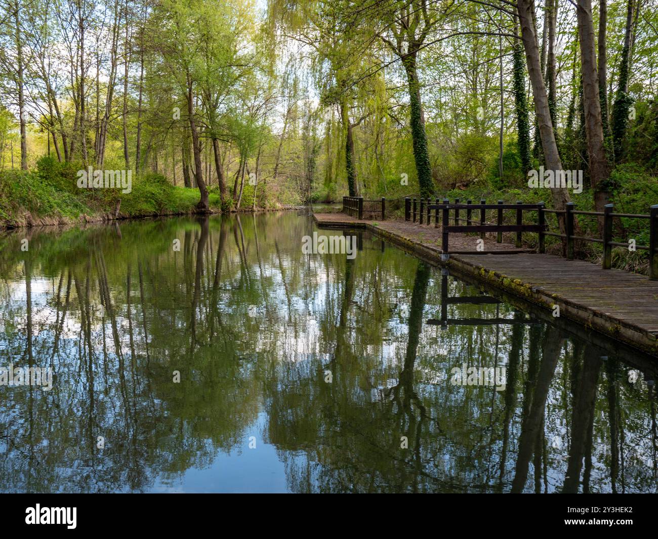 Die Landschaft des Spreewaldes in Brandenburg in Deutschland Stockfoto