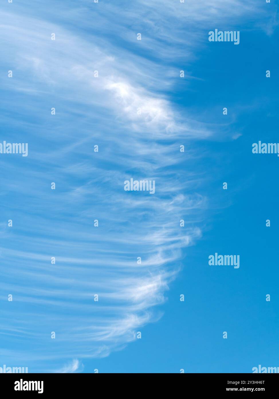 Wimpel von hohen Cirrus Wolken (Stutenschwänze) vor klarem blauem Himmel Stockfoto