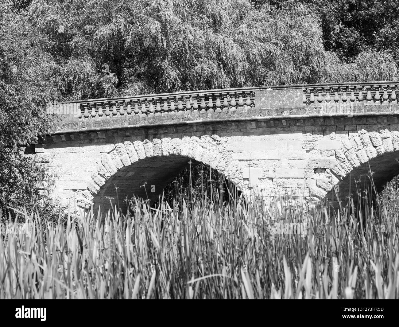 Black and White Oxfordshire Landscape, Swinford toll Bridge, Swinford, Themse, Oxfordshire, England, Großbritannien, GB. Stockfoto