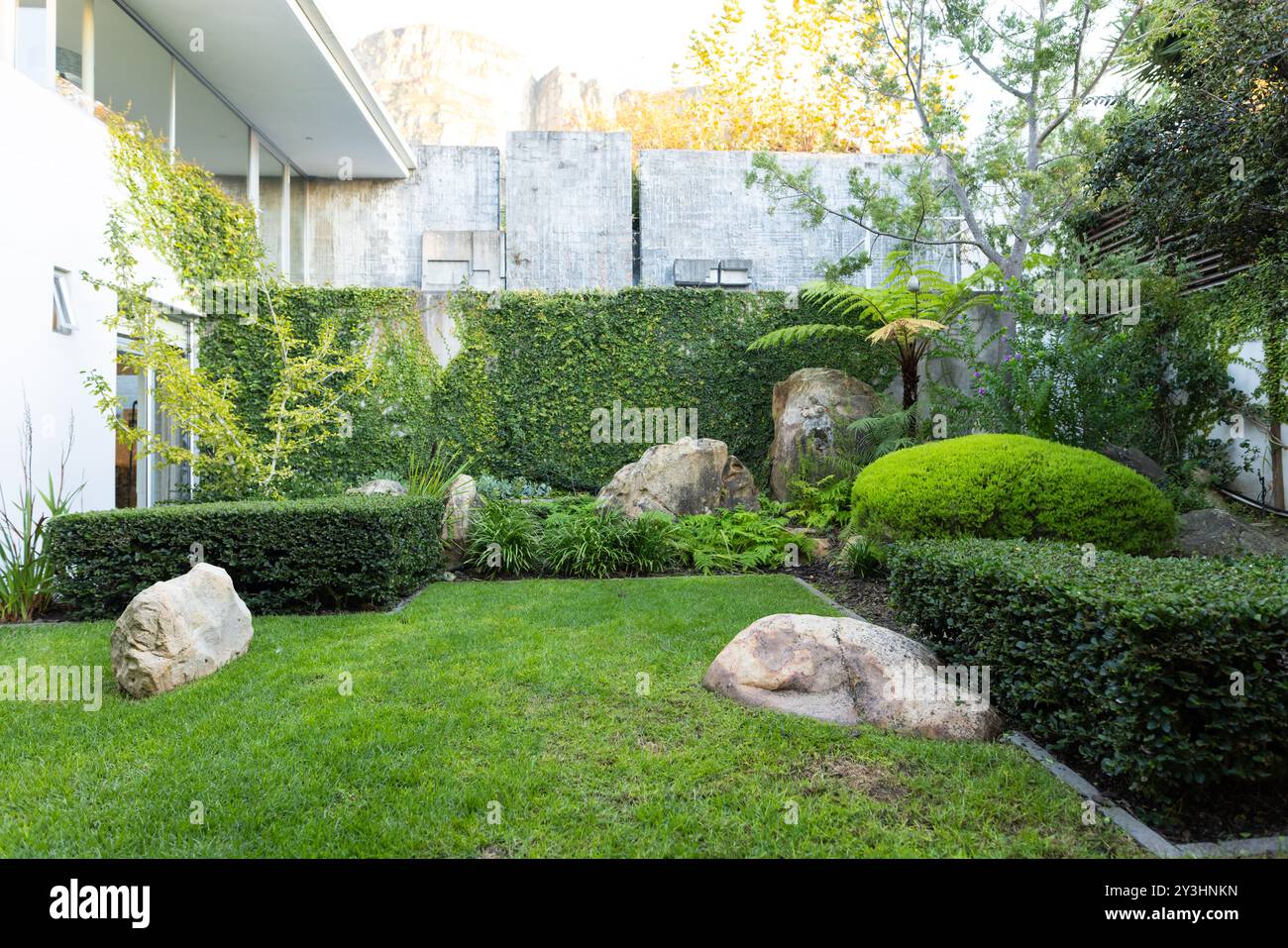 Wunderschön gestalteter Garten mit üppigem Grün und großen Felsen im modernen Hinterhof Stockfoto