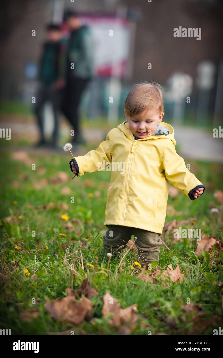 Ein kleines Kind in einem leuchtend gelben Regenmantel spielt glücklich in einem üppig grünen Park und hält freudig einen Löwenzahn in der Hand, während Löwenzahn und Herbstblätter umgeben sind Stockfoto