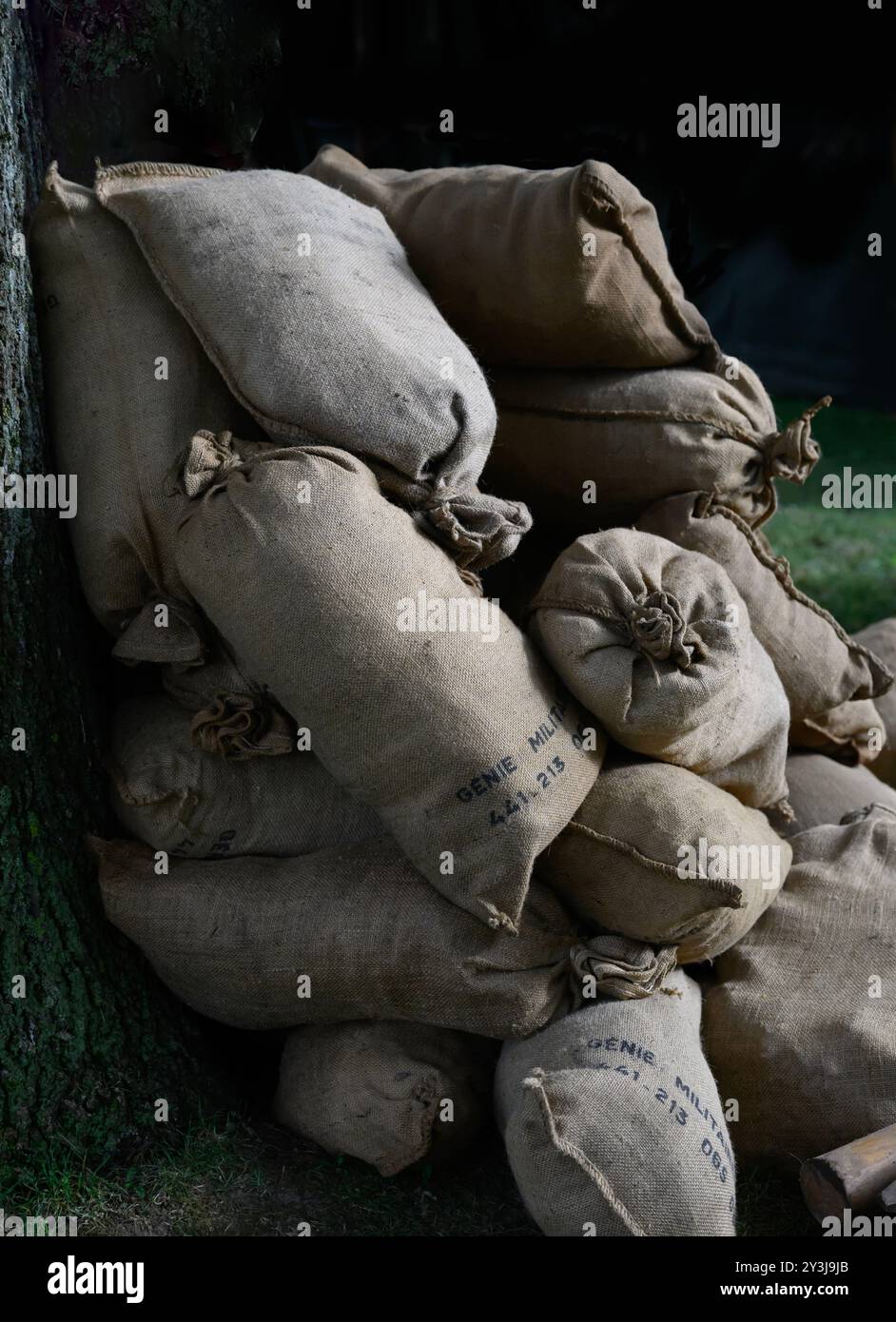 Sacs de Sable du Génie Militaire entassés contre un arbre Stockfoto