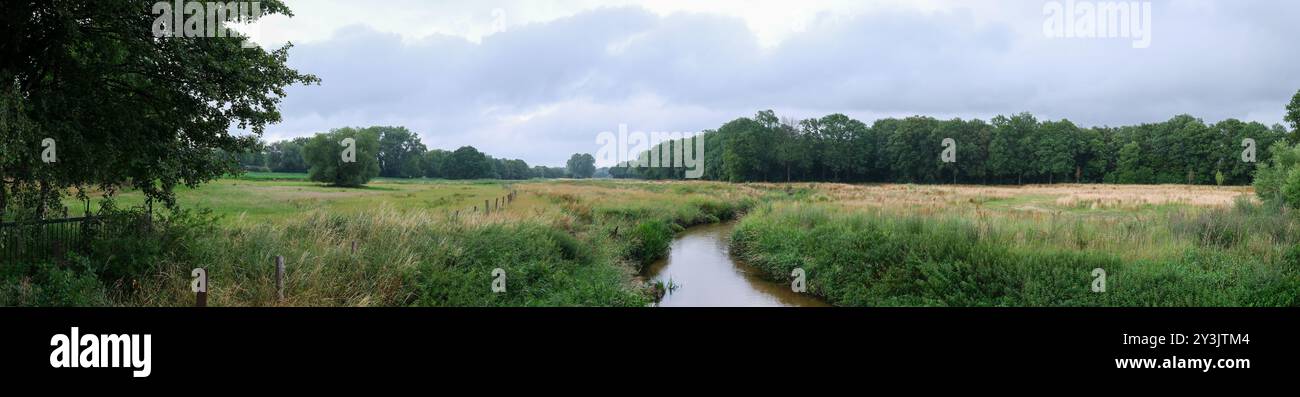 Ein ruhiger Park an der deutsch-niederländischen Grenze, mit einem ruhigen Pfad umgeben von üppigem Grün und unter einem bewölkten Himmel. Steuerung der Platine. Stockfoto