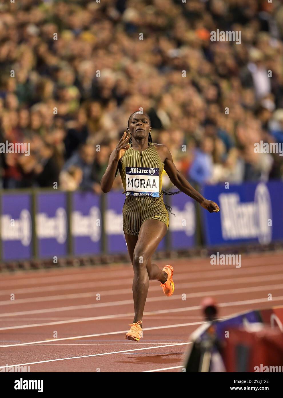 Mary Moraa aus Kenia trat im 800-m-Rennen der Frauen beim Leichtathletikfinale der Memorial Van Damme Diamond League im King Baudouin Stadium in Brussel an Stockfoto