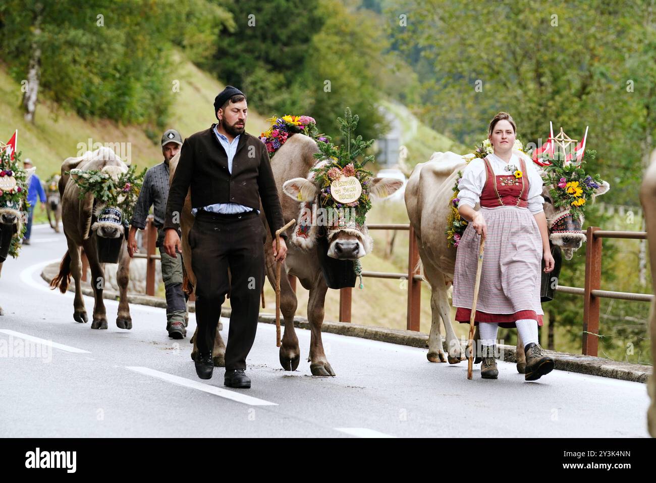 Anton Geisser 14.09.2024 Kanton Bern, Schweiz. Rueckkehr der Kuehe ins Tal. Alpabfahrt Engstlenalp - Innertkirchen. Berner Oberland Bild : Kuh mit Kuhglocke und Blumenschmuck auf dem Kopf . *** Anton Geisser 14 09 2024 Kanton Bern,Schweiz Rückkehr der Kühe ins Tal Alpabfahrt Engstlenalp Innertkirchen Bernese Oberland Bild Kuh mit Kuhglocke und Blumenschmuck auf dem Kopf Stockfoto