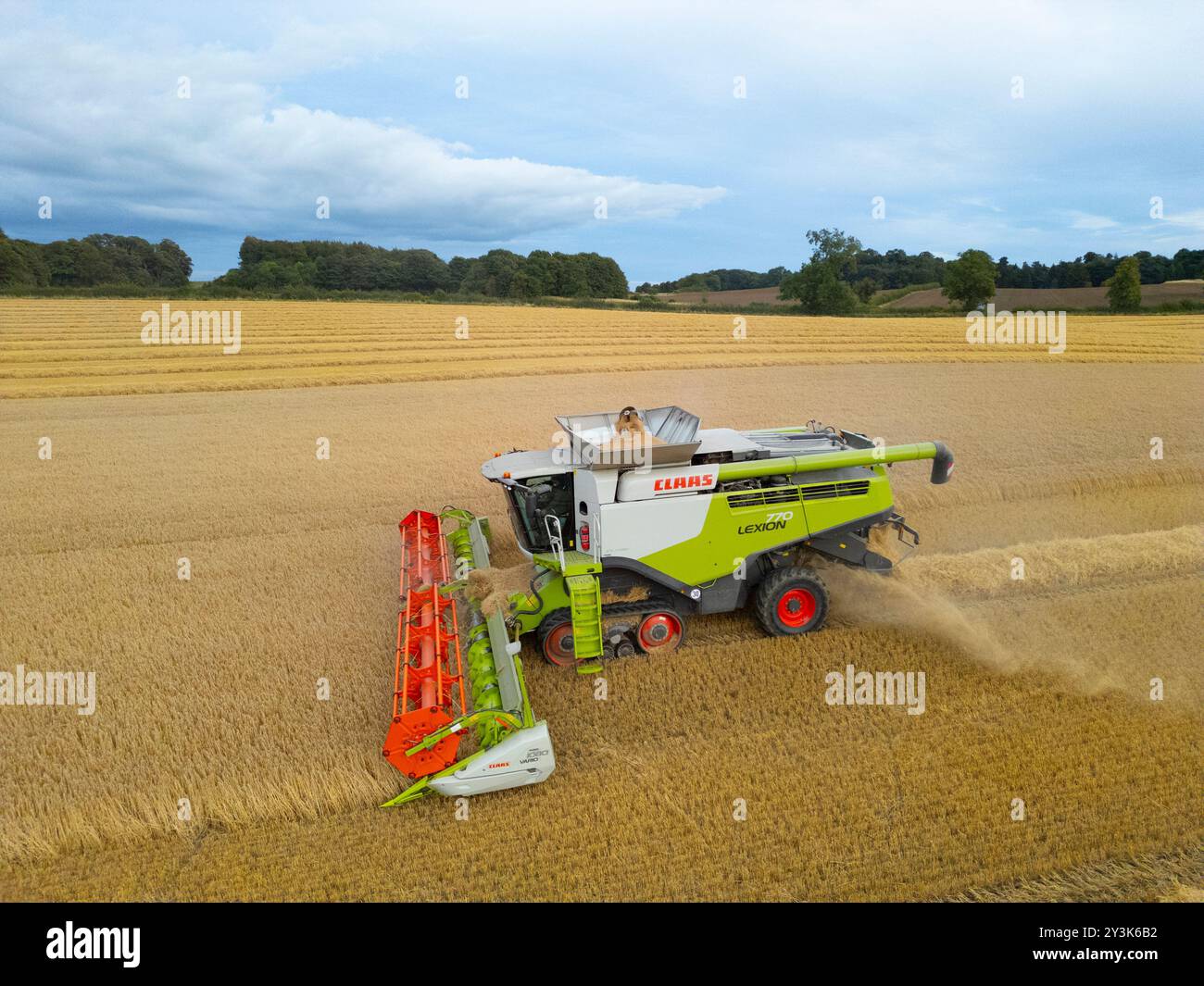 Luftaufnahmen eines Mähdreschers auf dem Feld in der Nähe von Rosyth in Fife., Schottland. Stockfoto