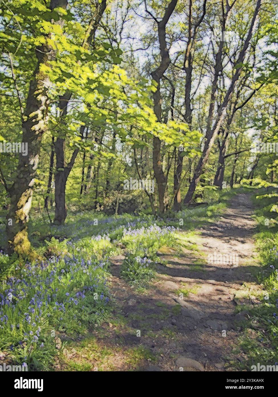 Aquarellmalerei eines Waldweges, der durch einen Teppich aus wilden englischen Glockenblöcken und lebhaften Frühlingsbuchen bei hellem Sonnenlicht verläuft Stockfoto