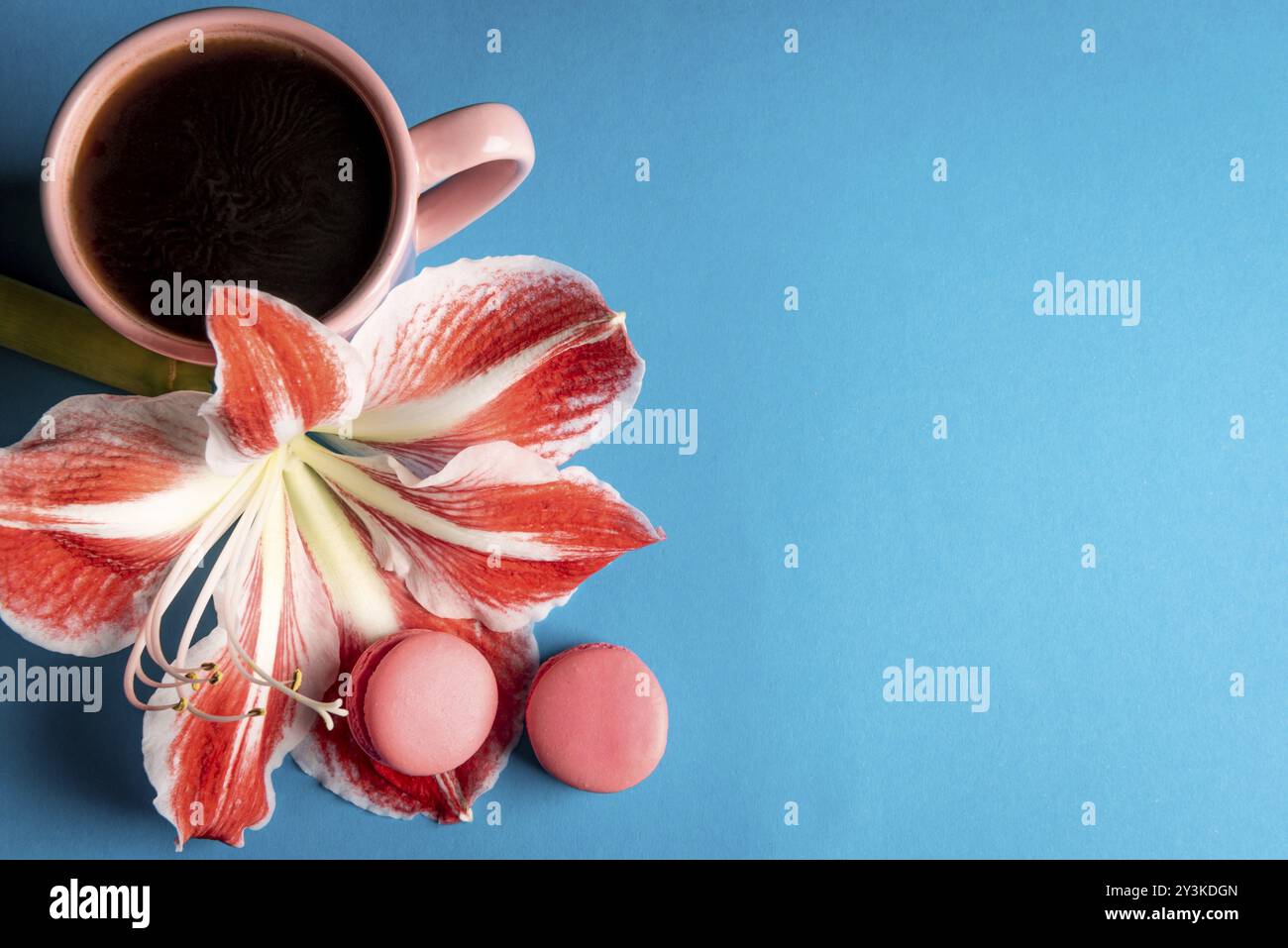 Tischplatte mit leckere Makronen auf großen Blütenblätter neben einer heißen Tasse Kaffee. Blauer Hintergrund mit Kopie Raum Stockfoto