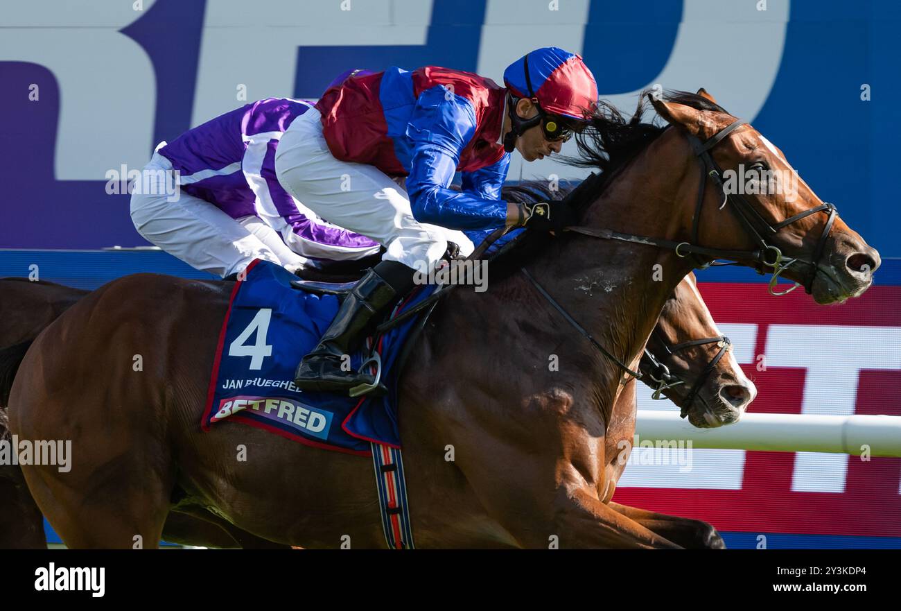 Doncaster Racecourse, Samstag, 14. September 2024. Jan Brueghel und Jockey Sean Levey gewinnen den 248. Lauf der St Leger für Trainer Aidan O’Brien und Besitzer Westerberg, Mrs. J Magnier, Michael Tabor & Derrick Smith. Credit JTW equine Images / Alamy Live News. Stockfoto