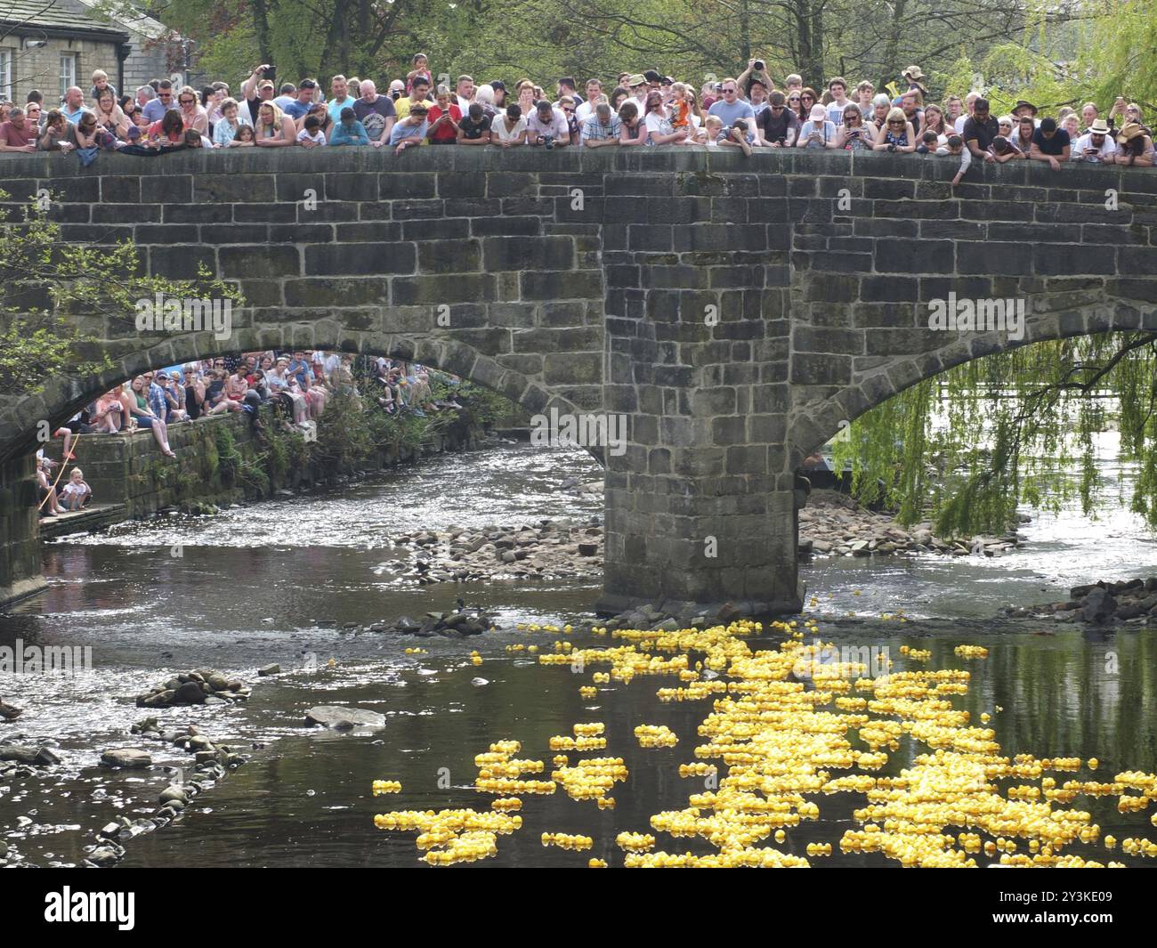 Hebden Bridge, West yorkshire, england, 22. april 2019: Menschen und Freiwillige beobachten das jährliche Entenrennen am ostermontag in hebden Bridge Stockfoto