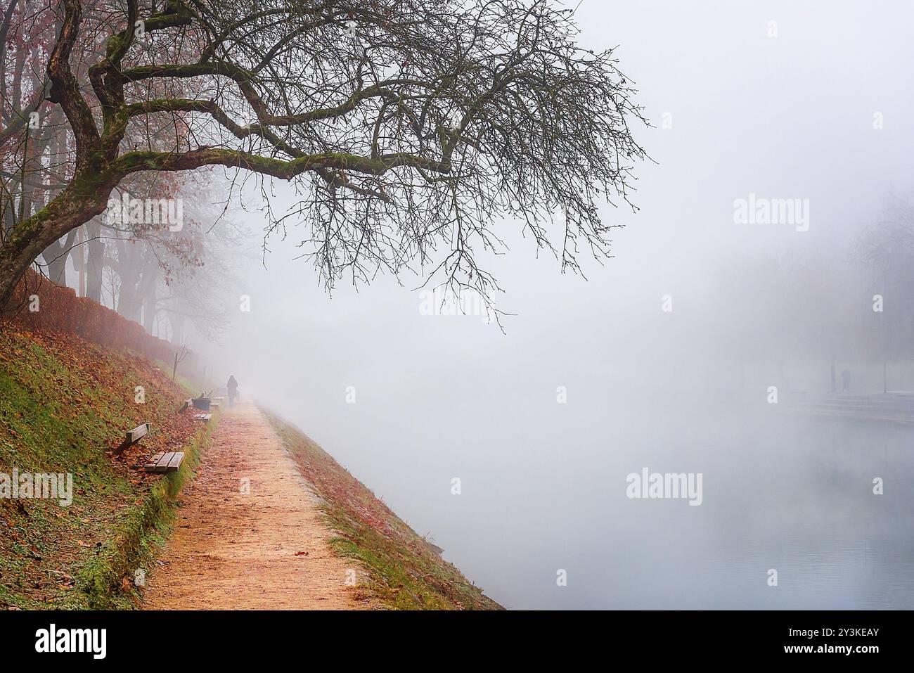 Repräsentatives Bild für einen kalten Herbsttag mit leeren Bäumen und gefallenen Blättern, einer Gasse entlang des Flusses Ljubljanica, alle umgeben von Nebel Stockfoto Repräsentatives Bild für einen kalten Herbsttag mit leeren Bäumen und gefallenen Blättern, einer Gasse entlang des Flusses Ljubljanica, alle umgeben von Nebel Stockfoto