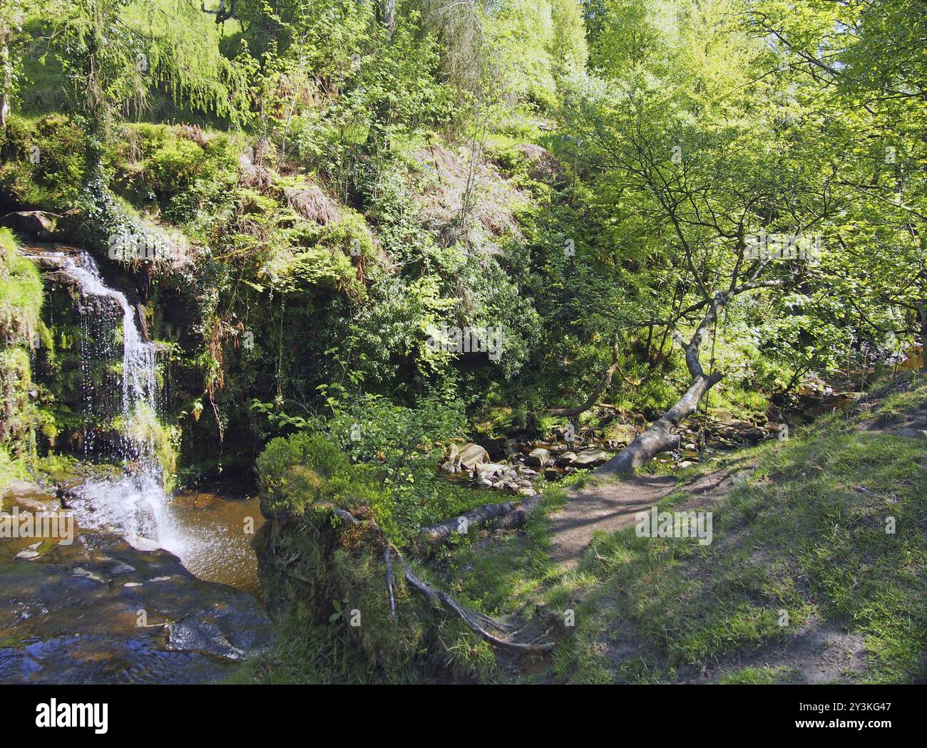 Lumb Hole fällt einen Wasserfall im Wald am Crimsworth Decan nahe dem Pecket Well in calderdale im Westen yorkshires Stockfoto